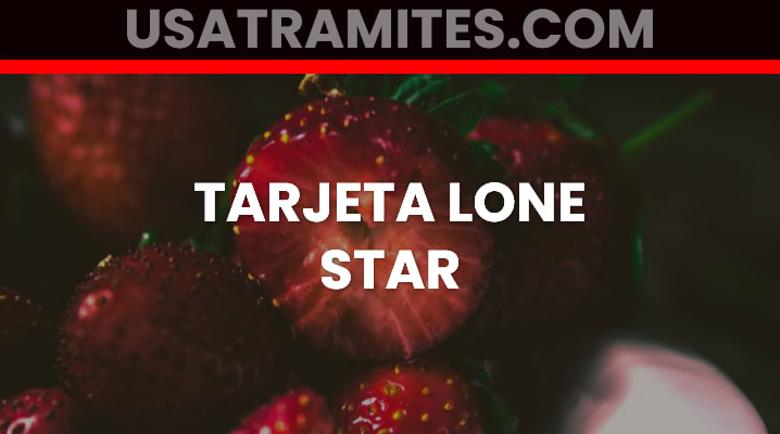Tarjeta Lone Star – Todo lo que debes saber esta aquí