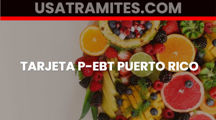 Tarjeta P-EBT Puerto Rico