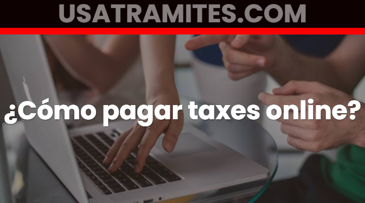 Como pagar taxes online			 			