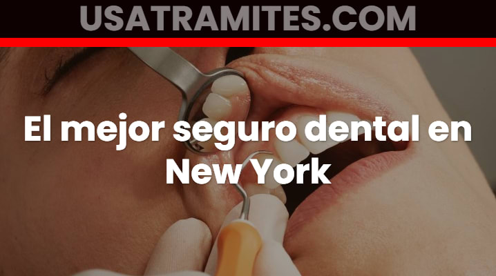 El mejor seguro dental en New York