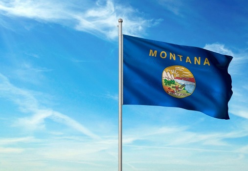 desempleo en Montana